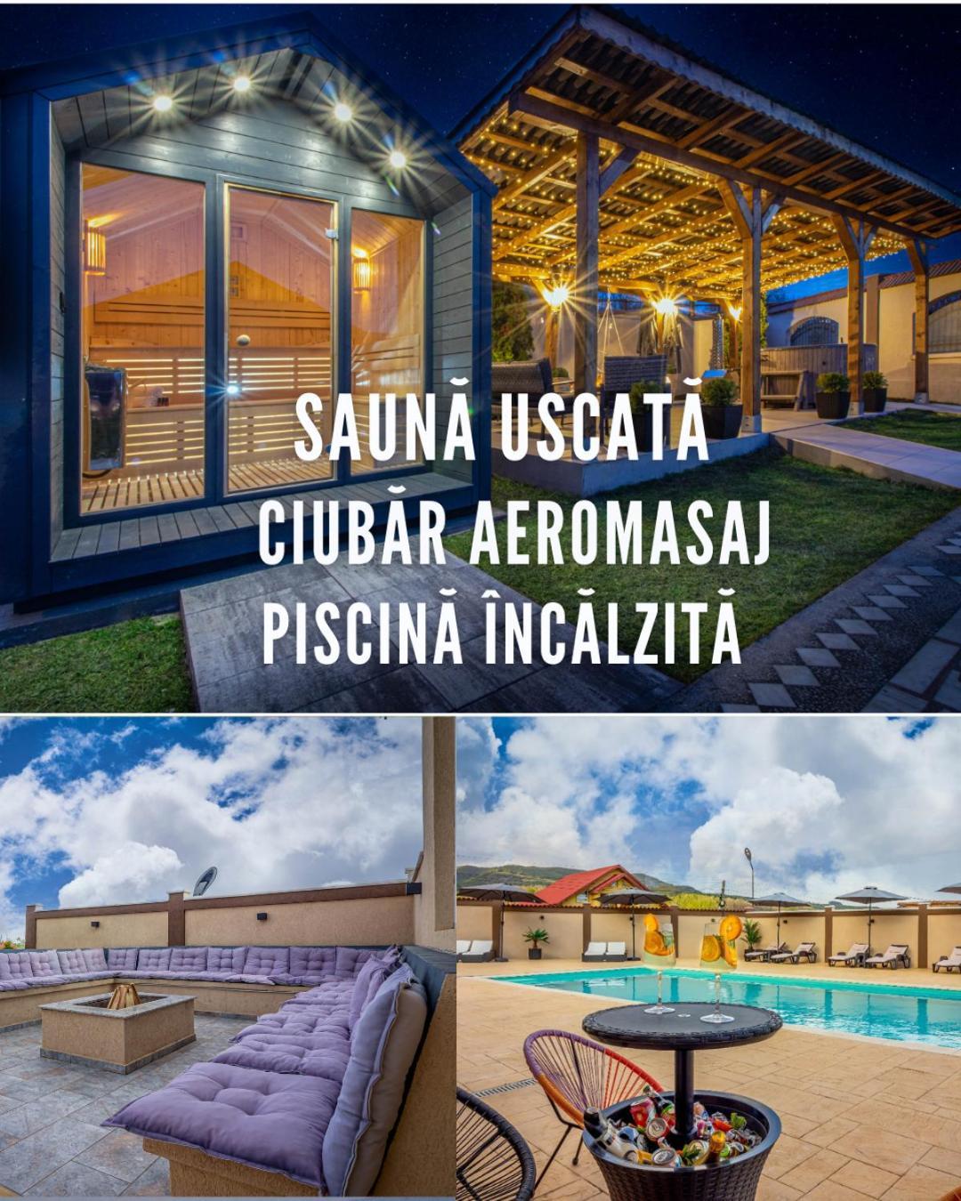 Pensiunea Adrian *